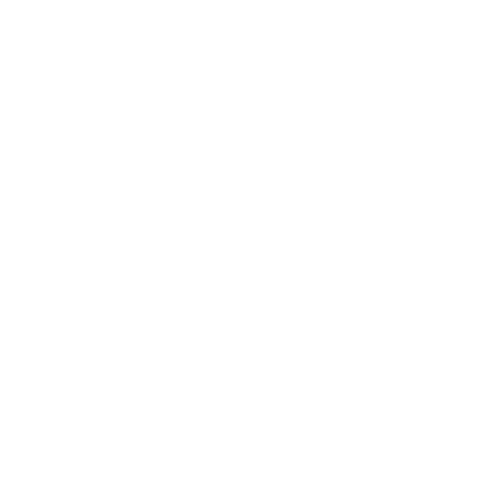 Bono-eSmart-Icons-lan-info