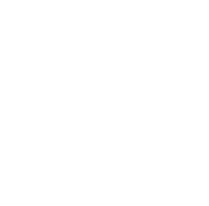 PTPI-ICONS-VISION