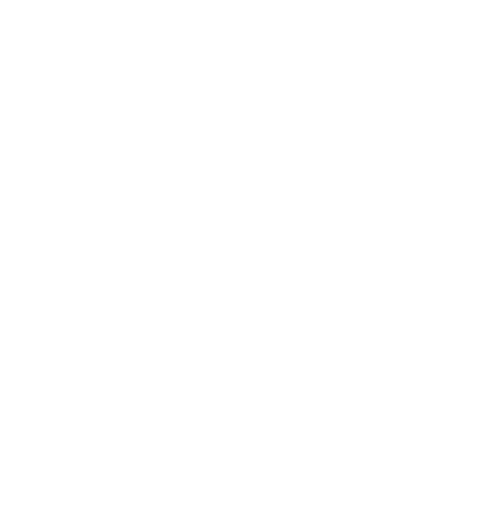 PTPI-ICONS-checklist-standards