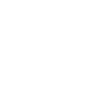 PTPI-Icon-Empower